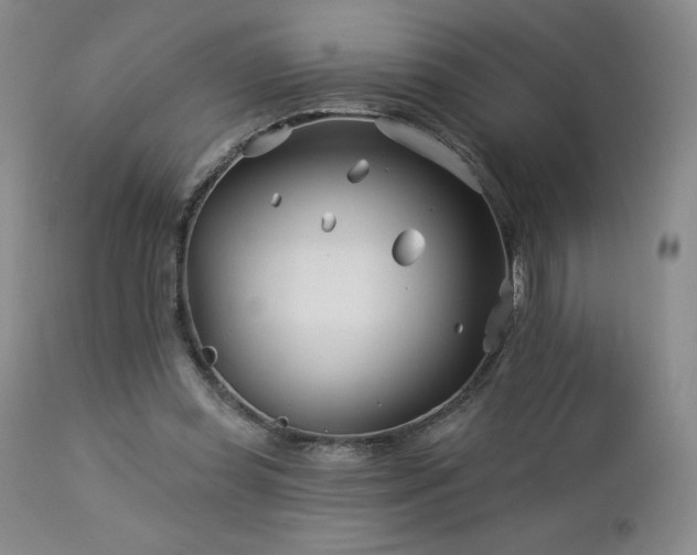 X0000113120349200908281443