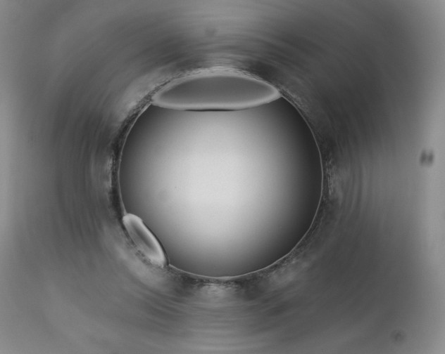 X0000113120350200908281443