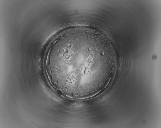 X0000113120351200908281443