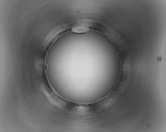 X0000113120352200908281443