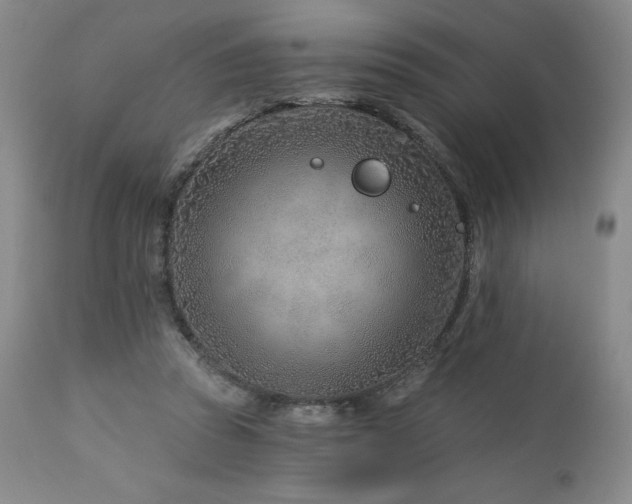 X0000113120353200908281443