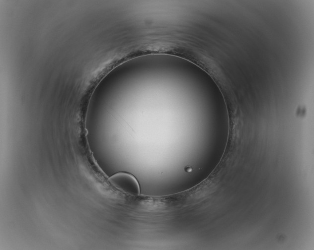 X0000113120354200908281443