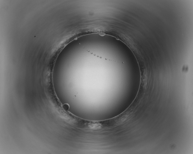 X0000113120355200908281443