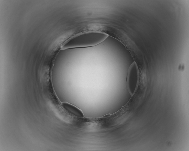 X0000113120356200908281443