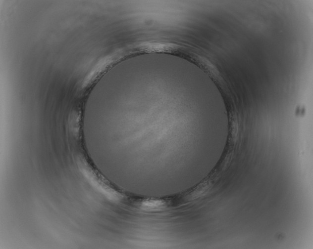 X0000113120357200908281443