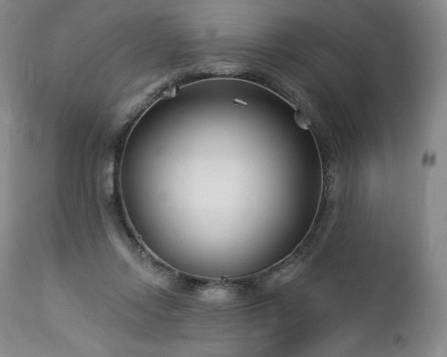 X0000113120358200908281443