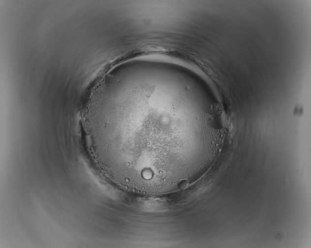 X0000113120359200908281443