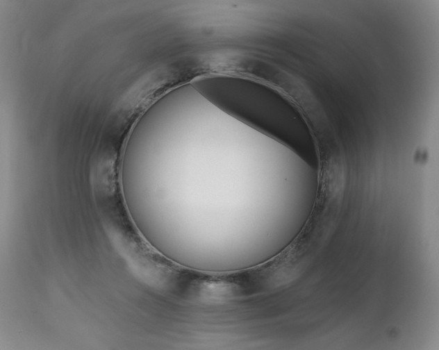 X0000113120360200908281443