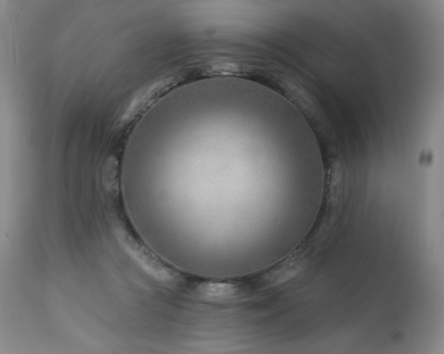 X0000113120361200908281443