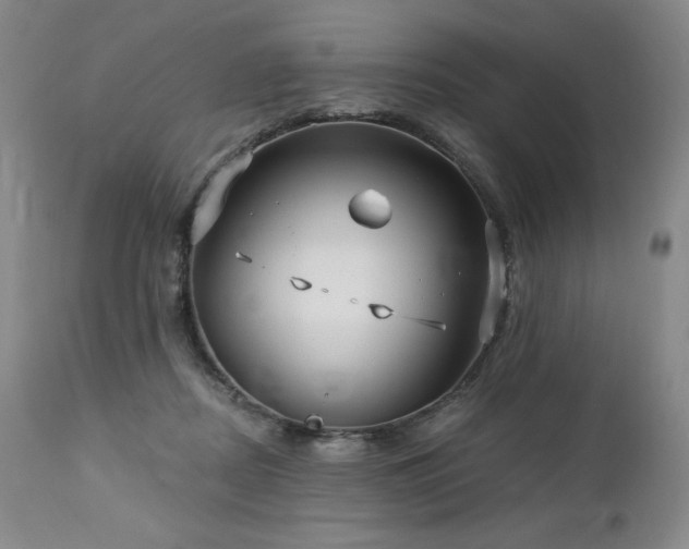 X0000113120362200908281443