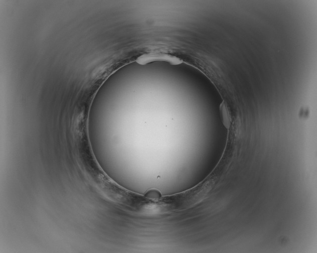 X0000113120364200908281443