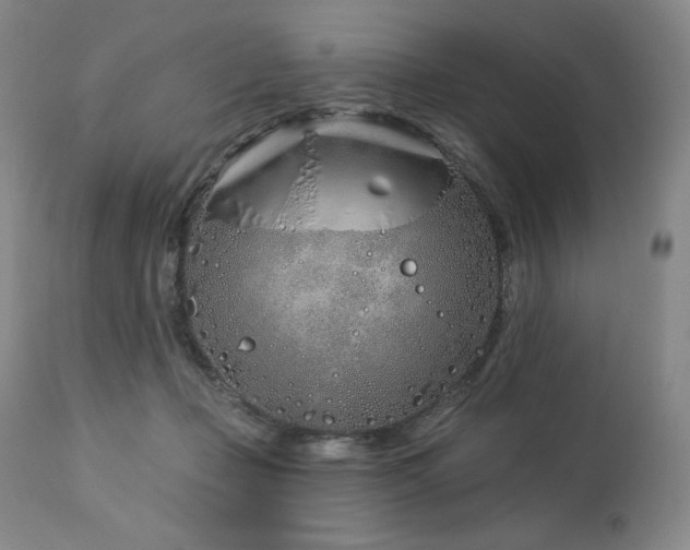 X0000113120365200908281443