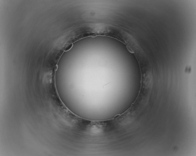 X0000113120368200908281443