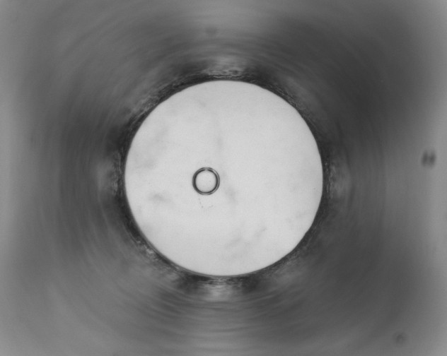 X0000113120370200908281443