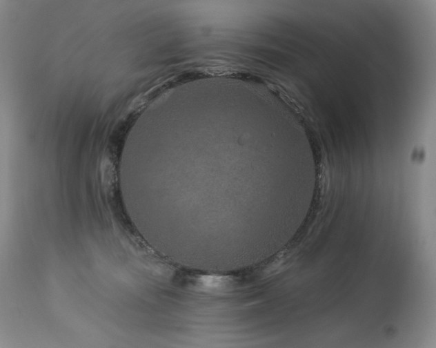 X0000113120371200908281443