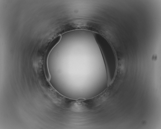 X0000113120372200908281443