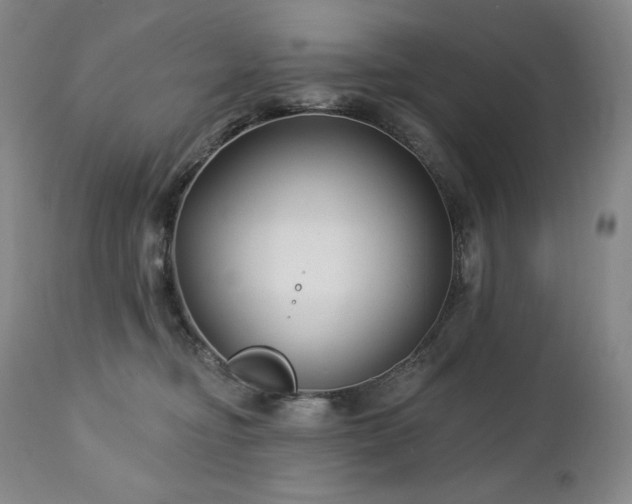 X0000113120374200908281443