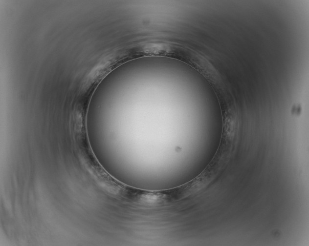 X0000113120375200908281443