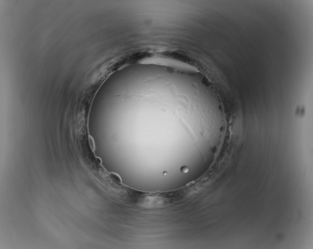 X0000113120376200908281443