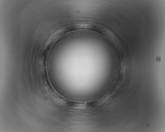 X0000113120377200908281443