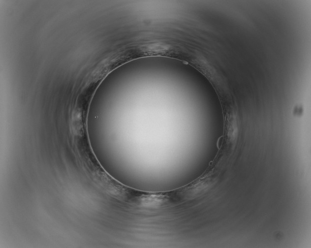 X0000113120378200908281443