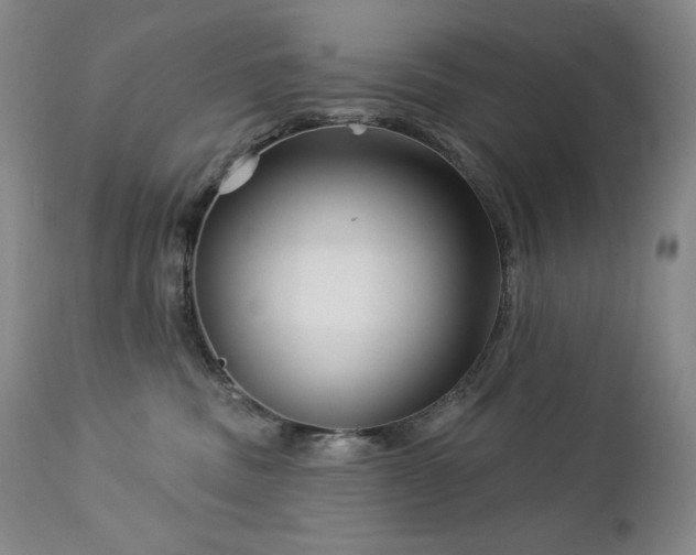 X0000113120379200908281443