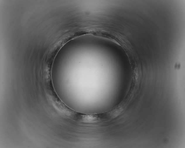 X0000113120380200908281443