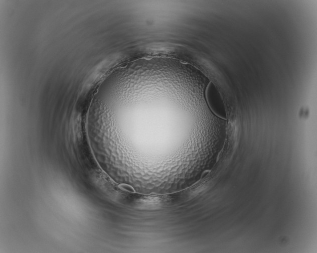 X0000113120381200908281443