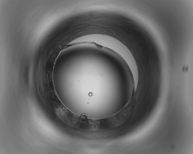 X0000113120382200908281443