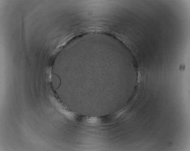 X0000113120383200908281443