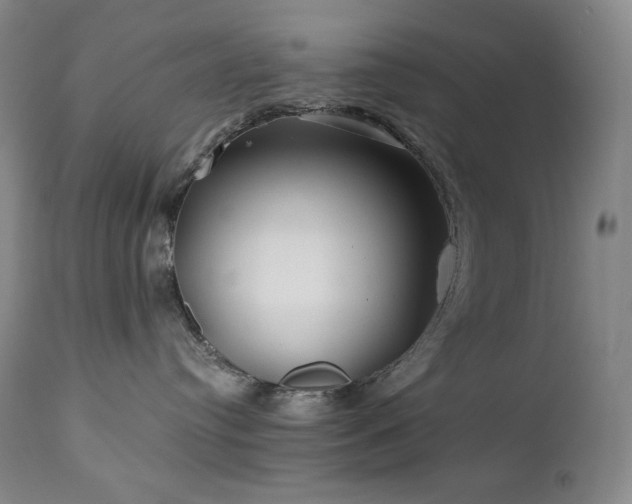 X0000113120384200908281443