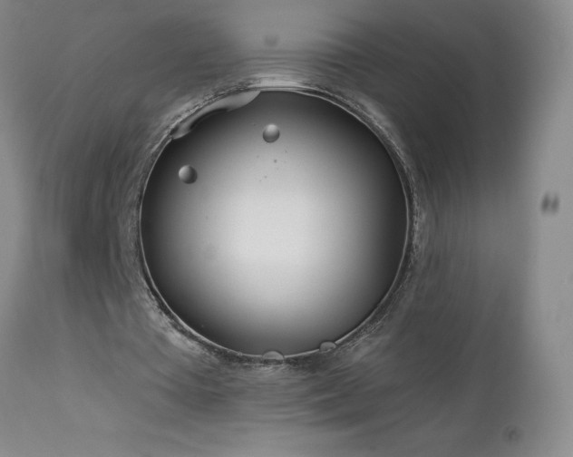 X0000113120385200908281443