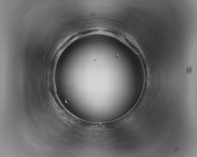 X0000113120386200908281443