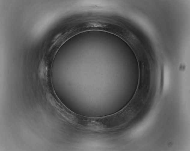 X0000113120387200908281443