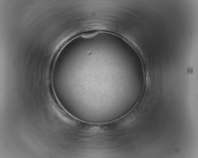 X0000113120390200908281443