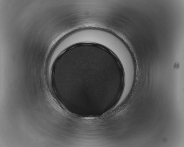 X0000113120391200908281443