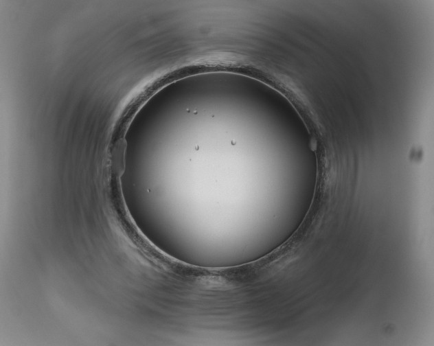 X0000113120392200908281443