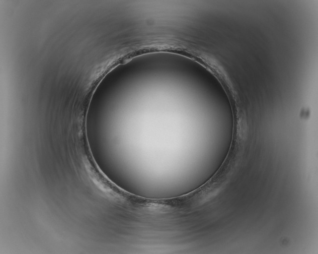 X0000113120393200908281443