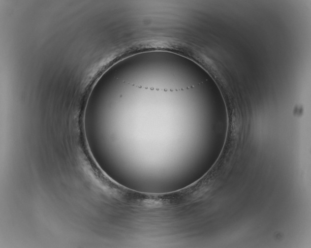 X0000113120394200908281443