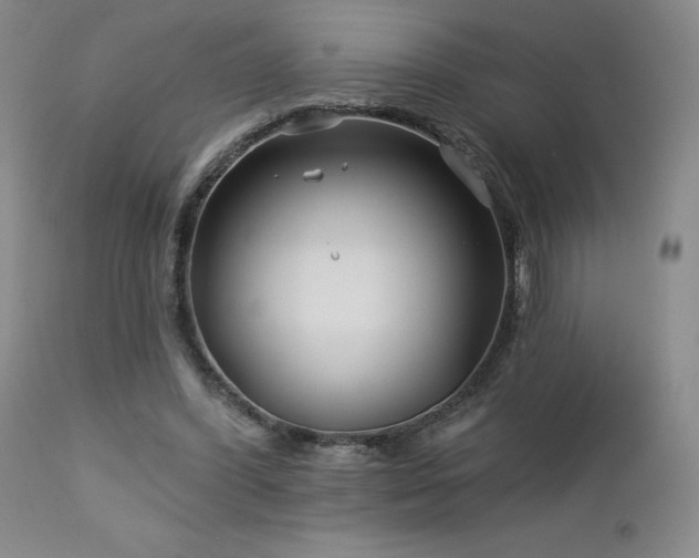 X0000113120396200908281443