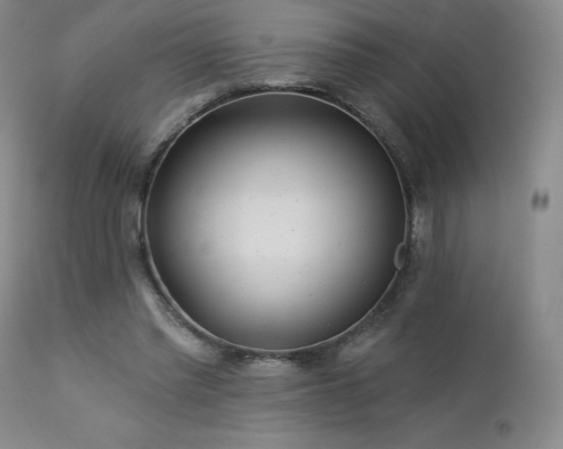 X0000113120397200908281443