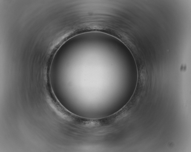 X0000113120398200908281443