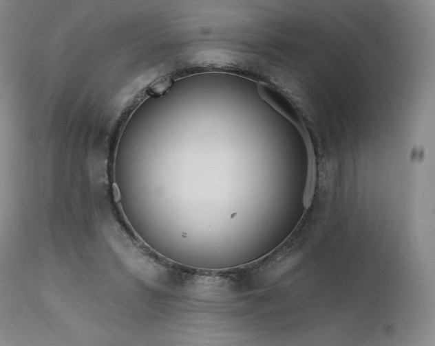 X0000113120399200908281443