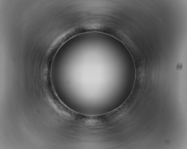 X0000113120400200908281443