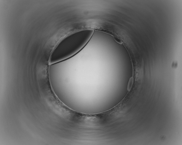 X0000113120401200908281443