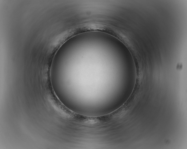 X0000113120402200908281443