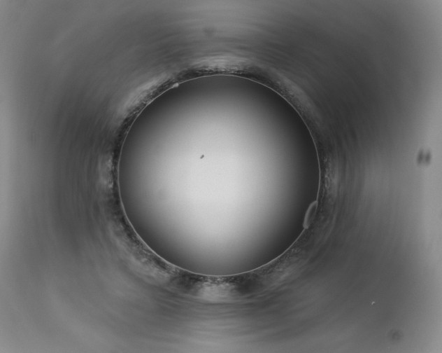 X0000113120403200908281443