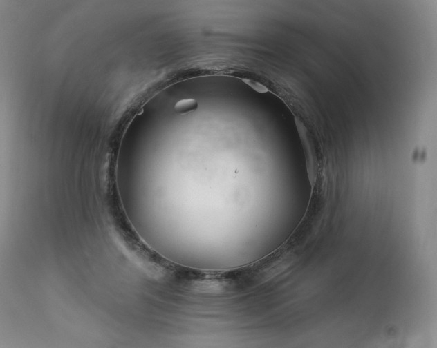 X0000113120404200908281442