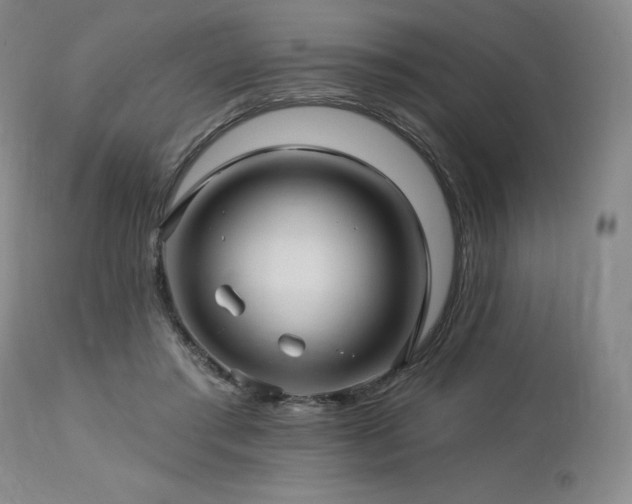 X0000113120405200908281442