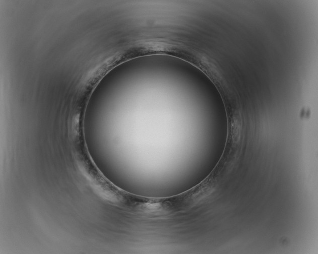 X0000113120406200908281442